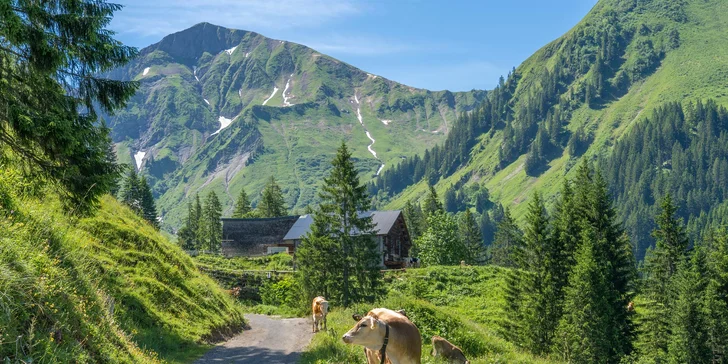 Dachstein s neomezeným wellness a polopenzí, hotel 200 m od lanovky