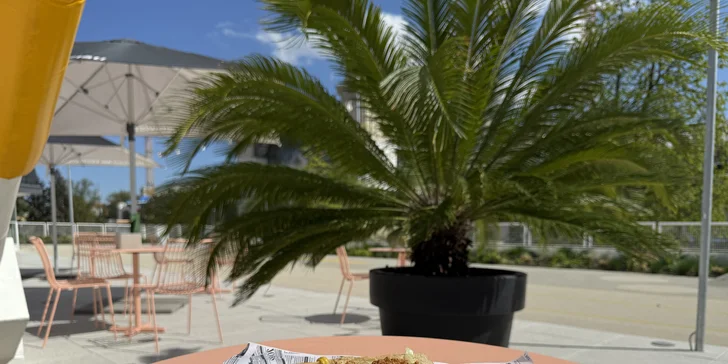 Hot dog, quesadilla, burger nebo burrito podle výběru z několika druhů