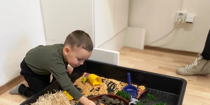 Lekce smysluplného hraní: pro děti od 15 měsíců do 5 let, smyslové aktivity i bezpečné experimentování