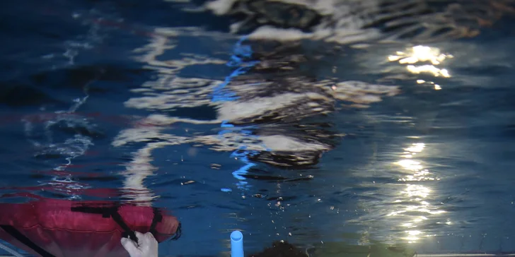 Kurz freedivingu v 8 metrů hluboké jámě pro jednoho, dva či celou rodinu