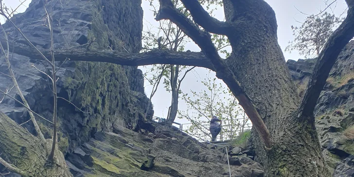 Via Ferrata: lezení po zajištěných cestách na Jehlu u České Kamenice až pro 3 osoby