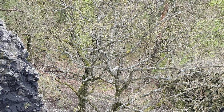 Via Ferrata: lezení po zajištěných cestách na Jehlu u České Kamenice až pro 3 osoby