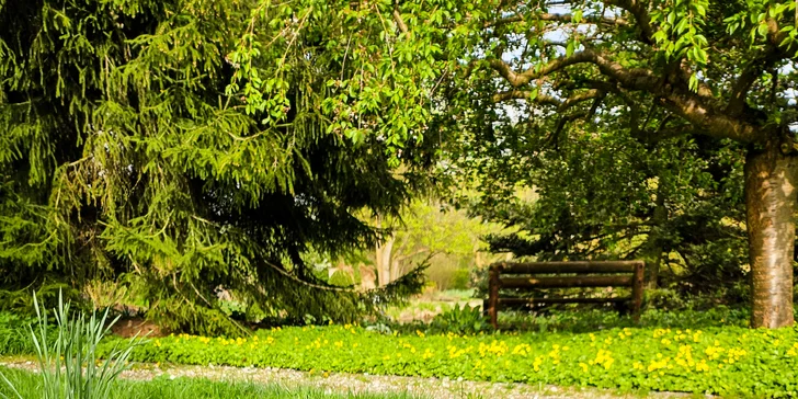 Glamping v západních Čechách: vybavený stan v zahradě vč. venkovní koupelny