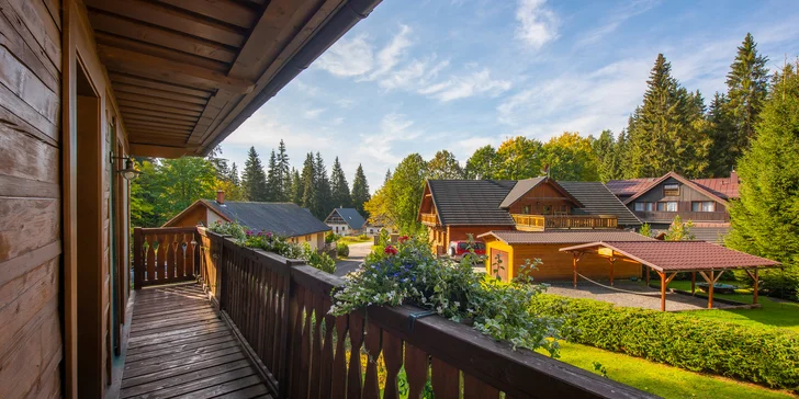 Apartmány v Tatrách až pro 5 osob: polopenze, vstup do největšího wellness na Slovensku