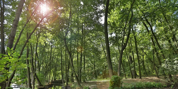 Rybaření na soukromém rybníku: povolenka pro jednu osobu na 1 i 2 pruty