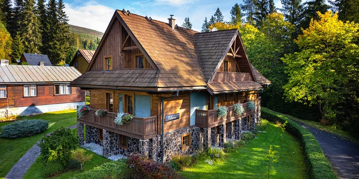 Apartmány v Tatrách až pro 5 osob: polopenze, vstup do největšího wellness na Slovensku