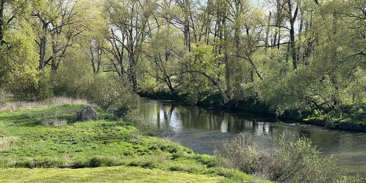 Pobyt v maringotce u Jizery: u lesa a cyklostezky, vč. možnosti snídaně, 6 km od Benátek nad Jizerou