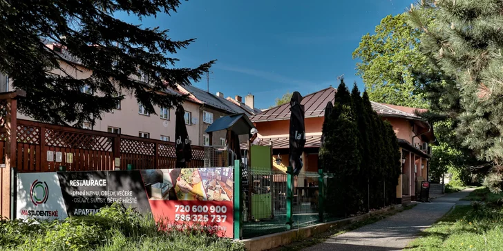 Burger z trhaného masa nebo cheese burger s hranolkami a tatarkou pro 1 i 2 osoby