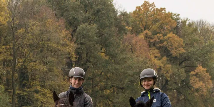 Pony školička: projížďka i pohlazení poníků včetně návštěvy dalších zvířátek