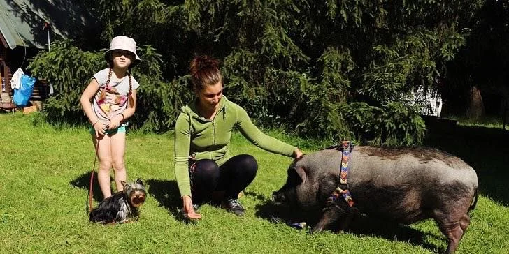 Pony školička: projížďka i pohlazení poníků včetně návštěvy dalších zvířátek