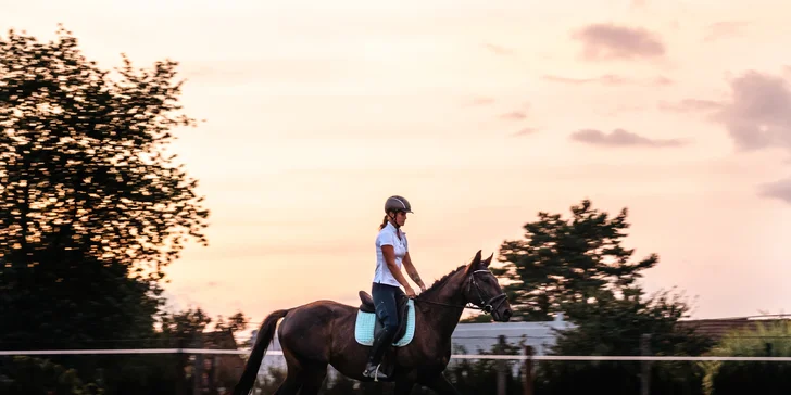 Pony školička: projížďka i pohlazení poníků včetně návštěvy dalších zvířátek