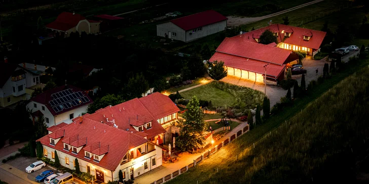 Relax uprostřed Lednicko-valtického areálu s polopenzí, neomezeným bazénem i degustací