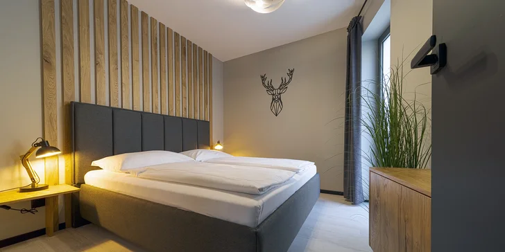 Pobyt ve Vysokých Tatrách ve Staré Lesné: moderně zařízené apartmány se snídaní a vstupem do Mountain Wellness centra