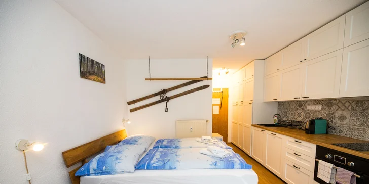 Vybavený moderní apartmán na německé straně Šumavy 300m od skiareálu
