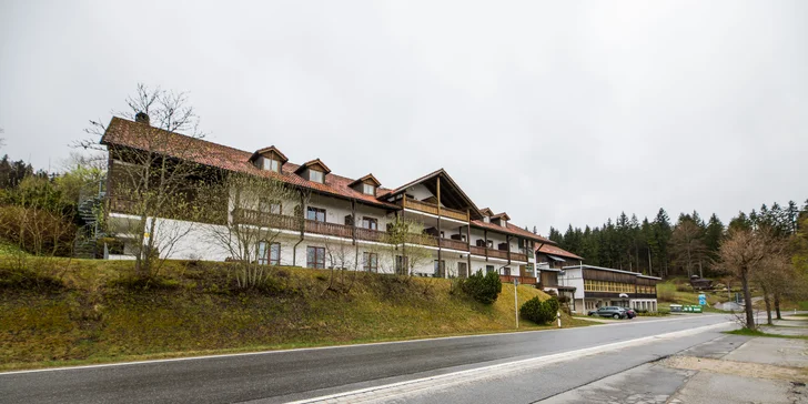 Vybavený moderní apartmán na německé straně Šumavy 300m od skiareálu