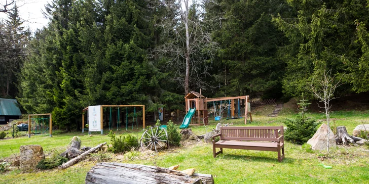 Pobyt v Krušných horách u Božího Daru: polopenze a výlety