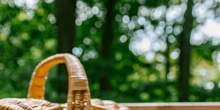 Domečky na stromě s výhledem na hrad Krásna Hôrka a snídaní z piknikového košíku servírovanou na terase