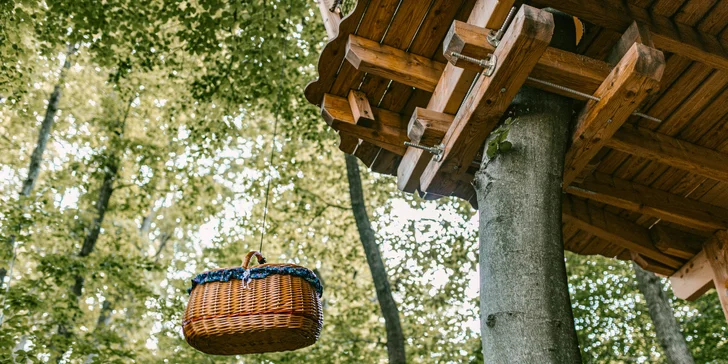 Krásné stromodomky v přírodě na východě Slovenska se snídaní