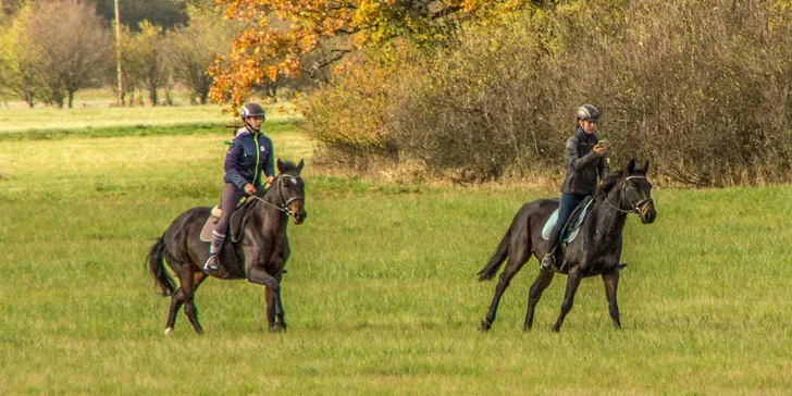 Pony školička: projížďka i pohlazení poníků včetně návštěvy dalších zvířátek