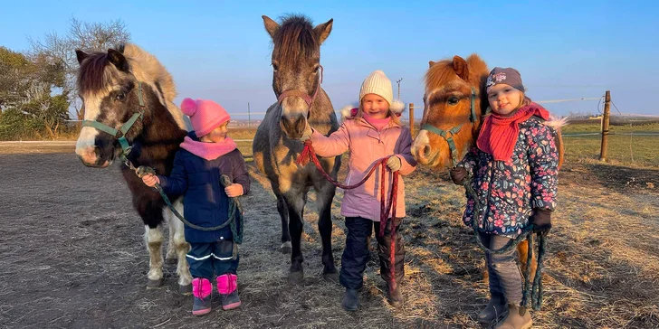 Pony školička: projížďka i pohlazení poníků včetně návštěvy dalších zvířátek