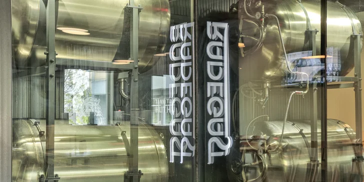 Koleno s chlebem, hořčicí a křenem i s pivem Radegast pro 1 nebo 2 osoby
