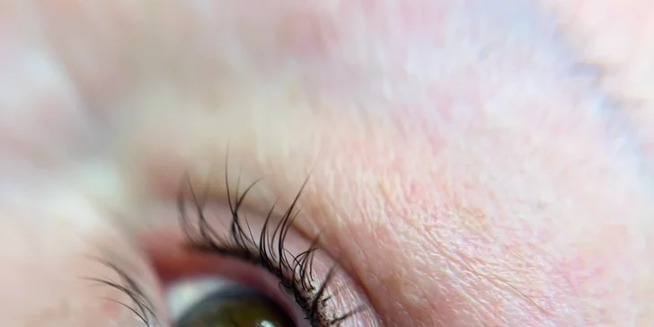 Permanentní make-up rtů, obočí pudrovou metodou či linky v horní řasové linii