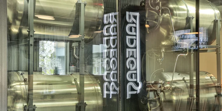 Kilo kuřecích řízků s hranolky a omáčkami i se 4 pivy Radegast