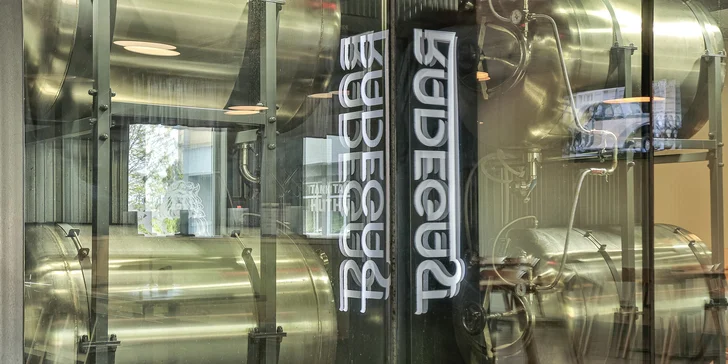 Bramborové placky s ohnivou směsí i s pivem Radegast pro 1 nebo 2 osoby