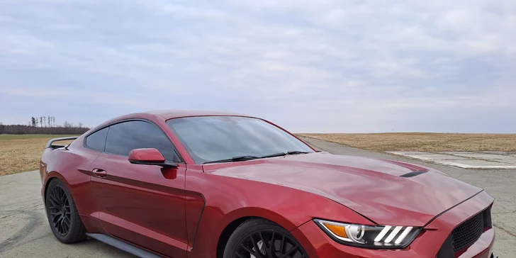 Zážitková jízda Fordem Mustang GT 500 v Ostravě či Olomouci: jako řidič či spolujezdec, 15–⁠⁠⁠⁠⁠⁠60 minut