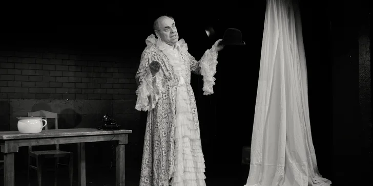 Vstupenka one man show Miroslava Táborského - Blázinec
