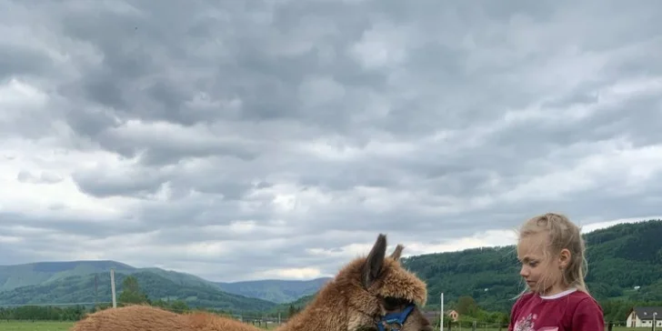 Projížďka na poníkovi pro děti, jízda na koni pro dospělé i návštěva farmy