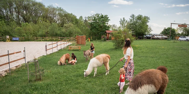 Pobyt mezi zvířátky na ranči: karavan, chatka či maringotka, mini zoo, koně a možnost snídaní