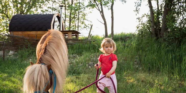 Pobyt mezi zvířátky na ranči: karavan, chatka či maringotka, mini zoo, koně a možnost snídaní