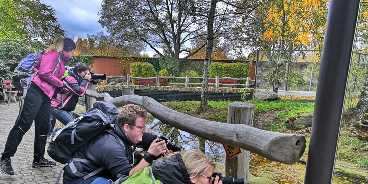 Fotografický prémium kurz v 5 různých zoo pro začátečníky i pokročilé
