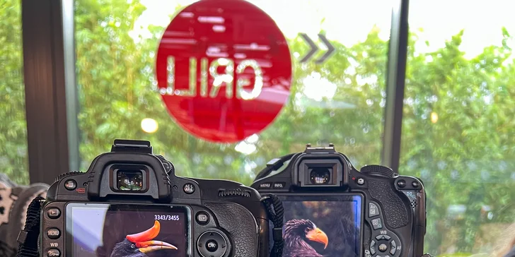 Fotografický prémium kurz v 5 různých zoo pro začátečníky i pokročilé