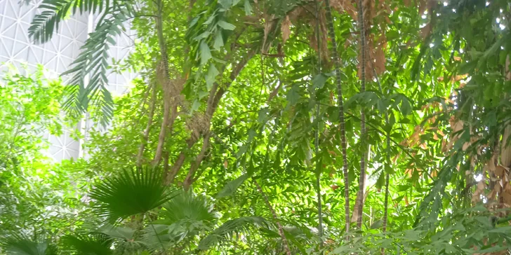 Celodenní vstupné pro děti i dospělé do vodního světa Tropical Islands v Německu