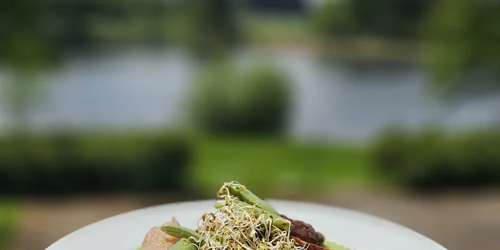 Relaxační pobyt v hotelu v jižních Čechách: vegetariánská strava, křišťálová či vibrační terapie i kreativní tvoření