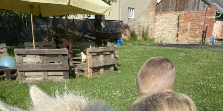 Příměstský tábor na ranči nejen u koní pro děti od 7 do 14 let: 4 turnusy
