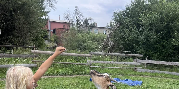 Příměstský tábor na ranči nejen u koní pro děti od 7 do 14 let: 4 turnusy