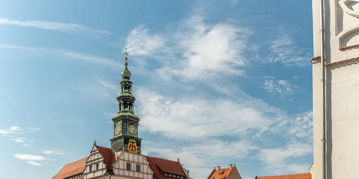 Autobusem z Prahy do historických Drážďan, odpolední plavba lodí do Pirny, oběd, živá hudba a průvodce po celý den