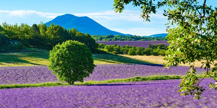 Zájezd do Provence a k Azurovému pobřeží: 3 noci se snídaní, doprava busem, koupání