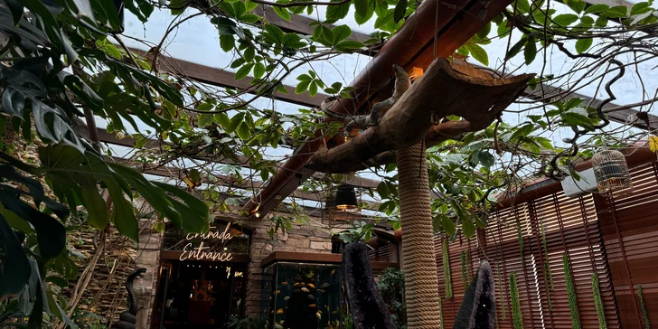 Jihoamerické Churrasco Rodízio připravené na ohni pro 2 osoby v restauraci La Casa Latina