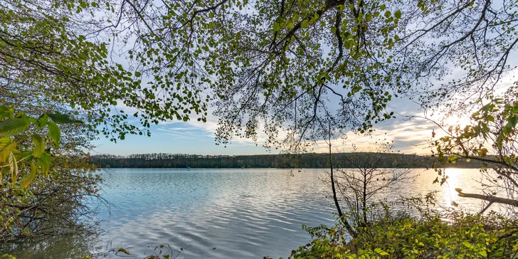 Podhůří Orlických hor: chata z 20. let, venkovní vířivka, gril i kamna na dřevo