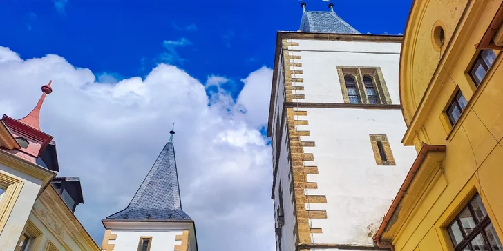 Krásně vybavená chatka se saunou, koupacím sudem i kuchyňkou a koupelnou na Chrudimsku