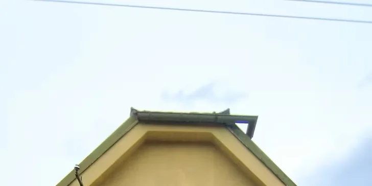 Zážitek s vycvičenými koňmi pro děti a dospělé: vyjížďka i základy péče vč. fota z jízdy