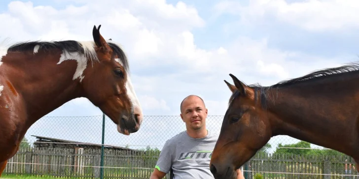 Zážitek s vycvičenými koňmi pro děti a dospělé: vyjížďka i základy péče vč. fota z jízdy