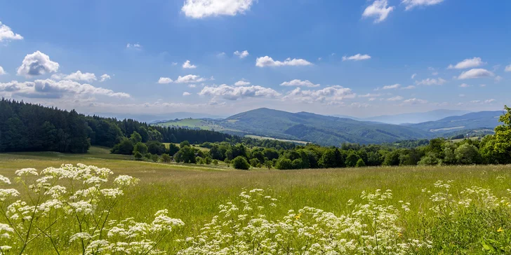 Romantika a relax na jihu Moravy: wellness apartmán s privátní vířivkou a saunou