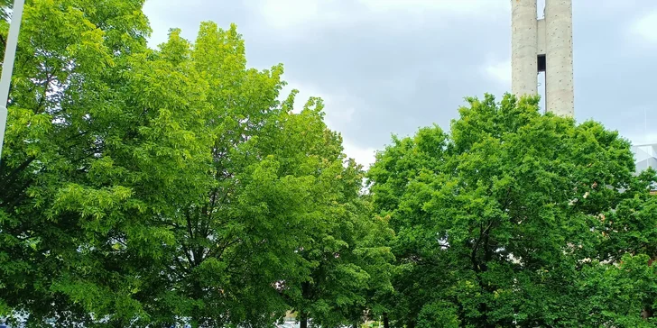 Ošetření pro aknózní pleť: hloubkové čištění vč. laserové biostimulace