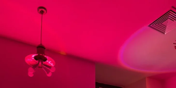 Malování s vínem pro jednoho, pár i partu přátel vč. plátna a pomůcek