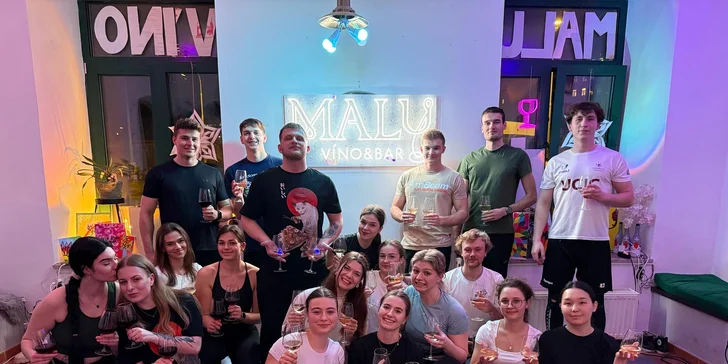 Malování s vínem pro jednoho, pár i partu přátel vč. plátna a pomůcek